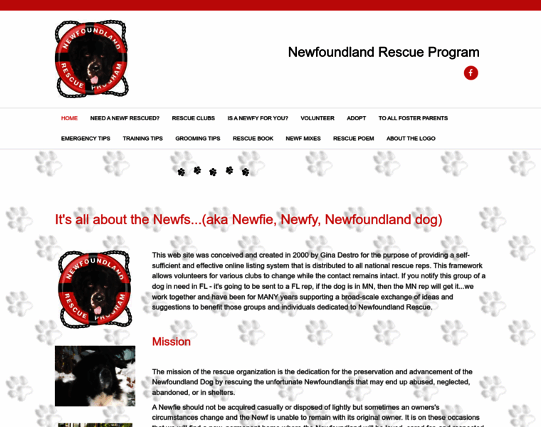 Newfrescue.com thumbnail