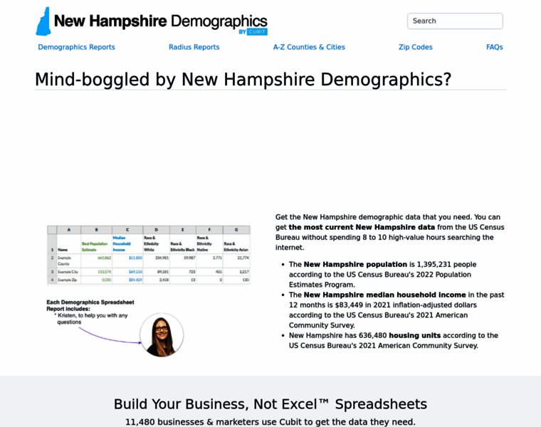 Newhampshire-demographics.com thumbnail