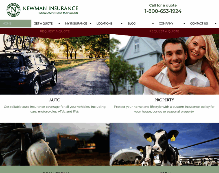 Newmaninsurance.ca thumbnail
