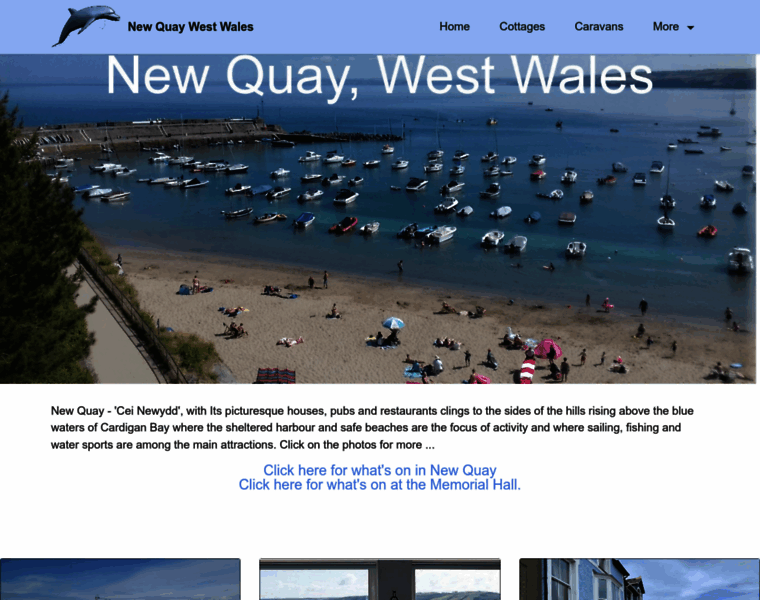 Newquay-westwales.co.uk thumbnail