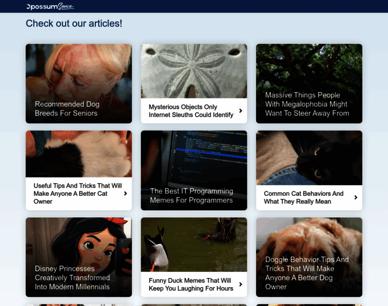 News.opossumsauce.com thumbnail
