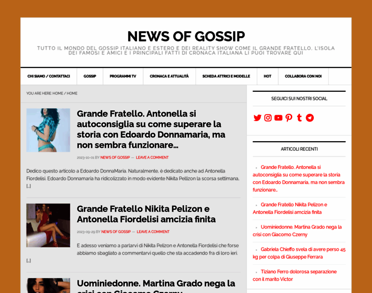 Newsofgossip.net thumbnail