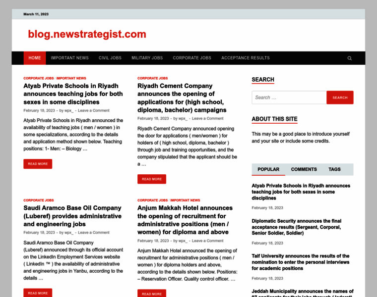 Newstrategist.com thumbnail