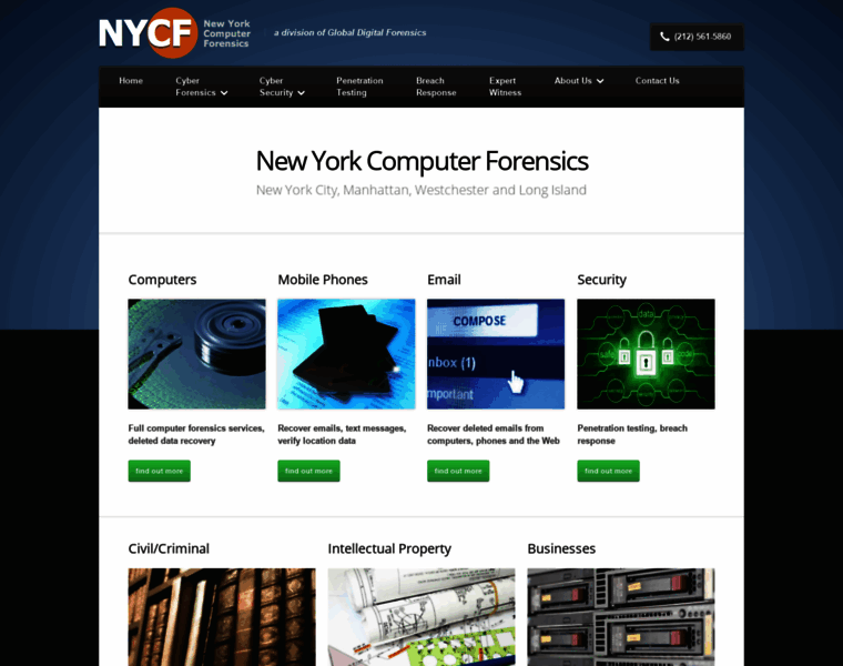 Newyorkcomputerforensics.com thumbnail