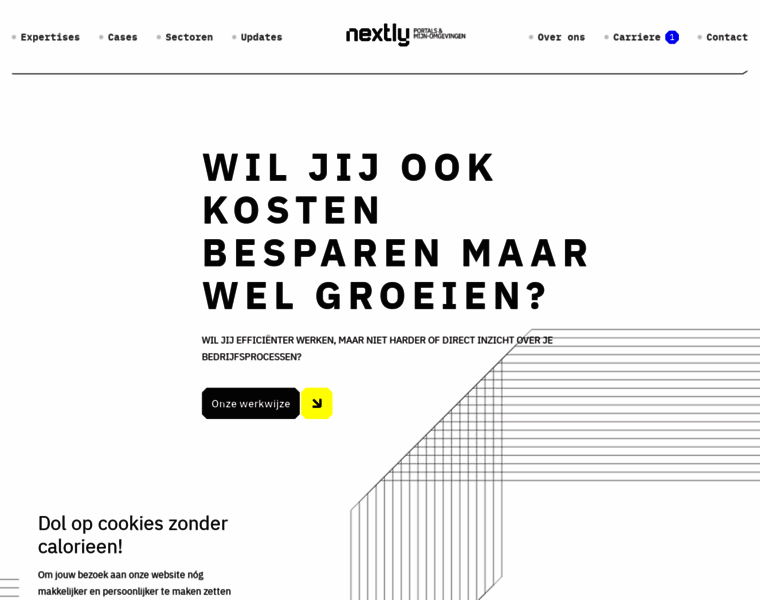 Nextly.nl thumbnail