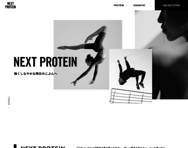 Nextprotein-tands.com thumbnail