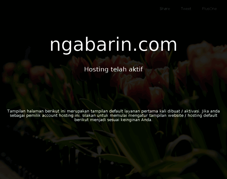 Ngabarin.com thumbnail