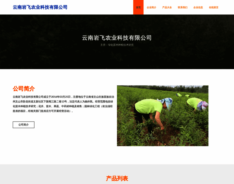 Ngyefjb.cn thumbnail