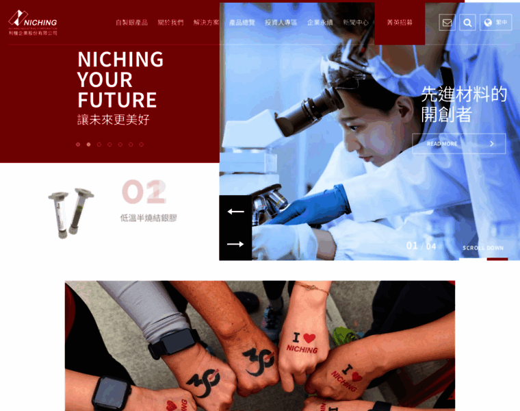 Niching.com.tw thumbnail