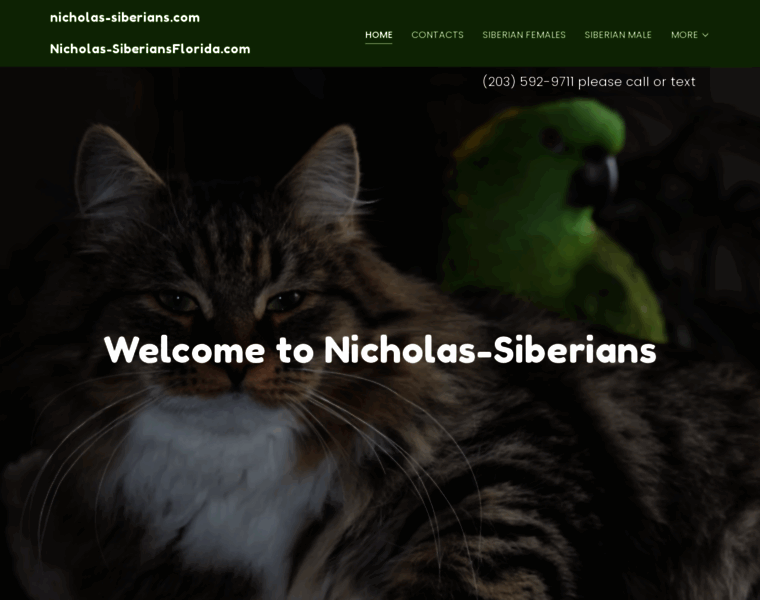 Nicholas-siberians.com thumbnail Nicholas-siberians.com thumbnail