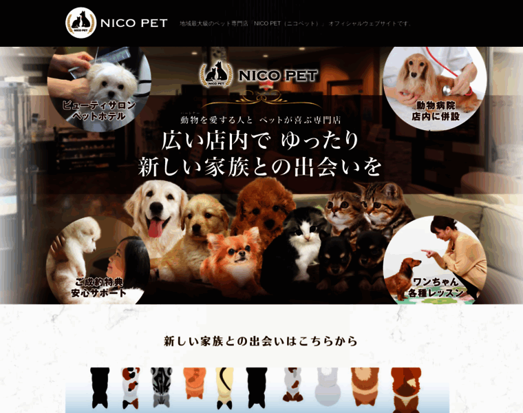 Nicopet.jp thumbnail