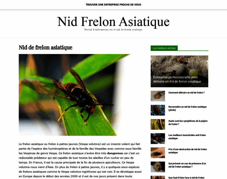 Nid-frelon-asiatique.com thumbnail