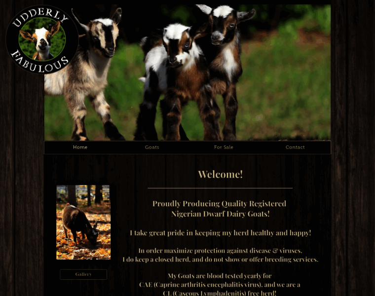 Nigerian-dwarf-goats.com thumbnail