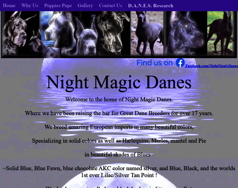 Nightmagicpride.com thumbnail
