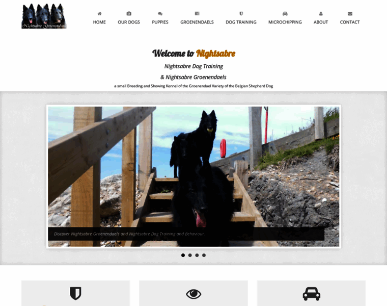 Nightsabre.co.uk thumbnail