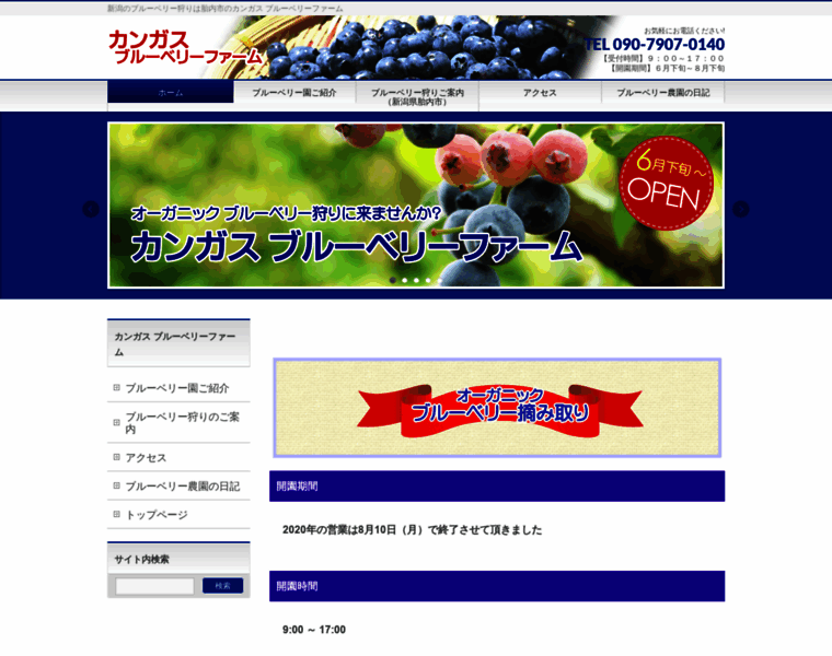 Niigata-blueberry.com thumbnail