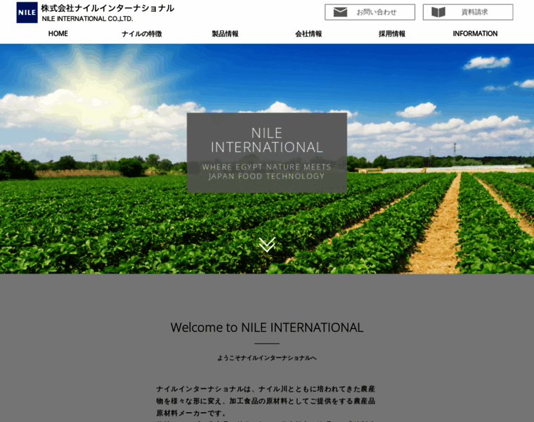 Nile-international.com thumbnail