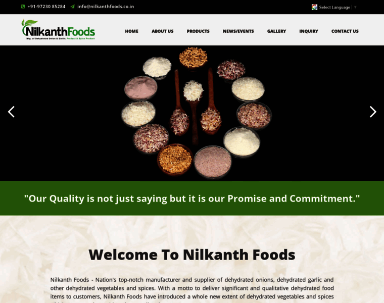 Nilkanthfoods.co.in thumbnail