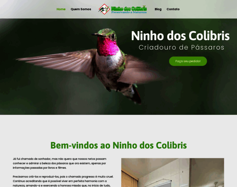 Ninhodoscolibris.com.br thumbnail