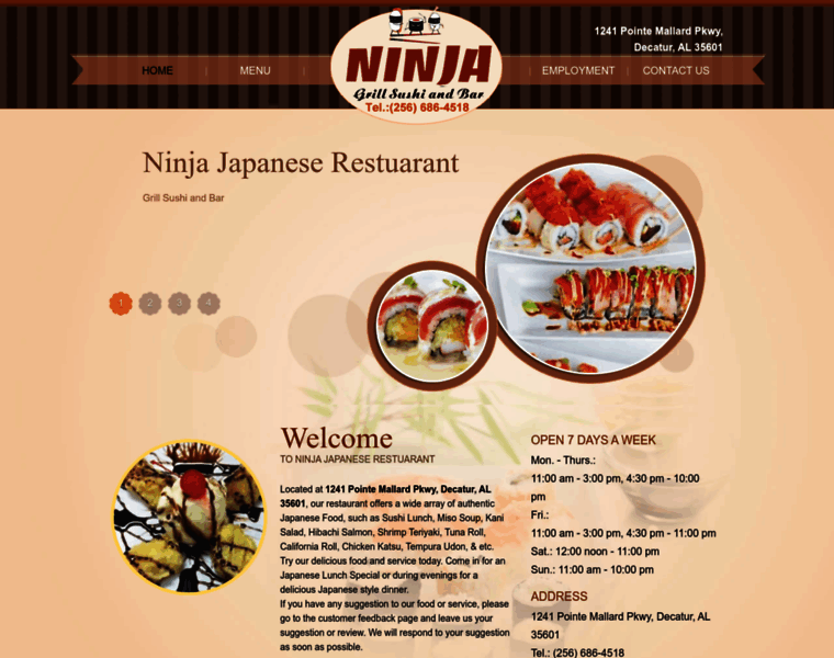 Ninjadecatur.com thumbnail
