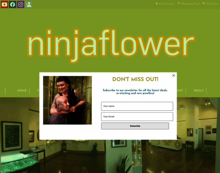 Ninjaflower.co.nz thumbnail