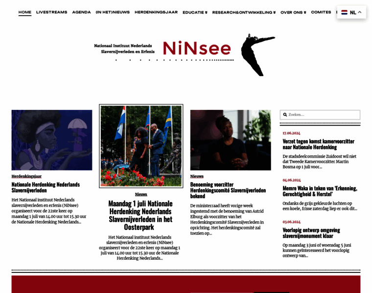 Ninsee.nl thumbnail