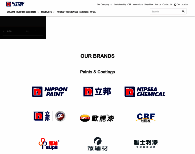 Nipponpaint.com.pk thumbnail