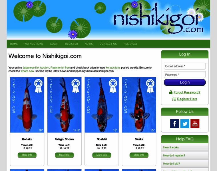 Nishikigoi.com thumbnail