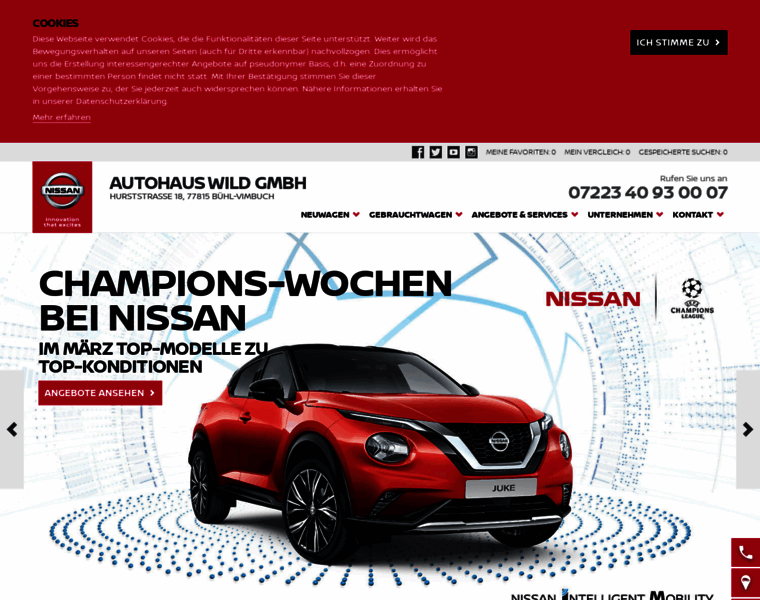 Nissan-wild-buehl.de thumbnail