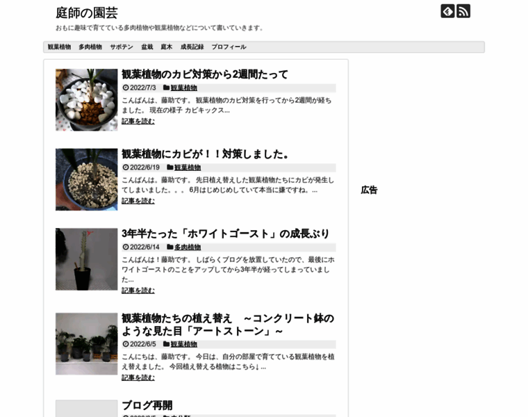 Niwashi.site thumbnail