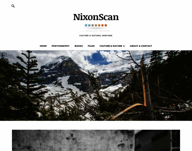 Nixonscan.com thumbnail