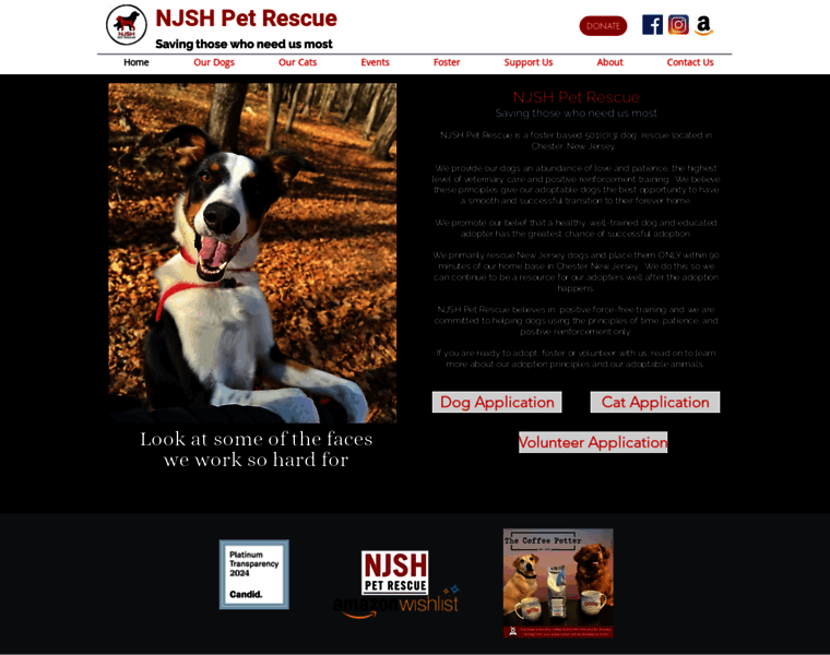 Njshpetrescue.org thumbnail Njshpetrescue.org thumbnail