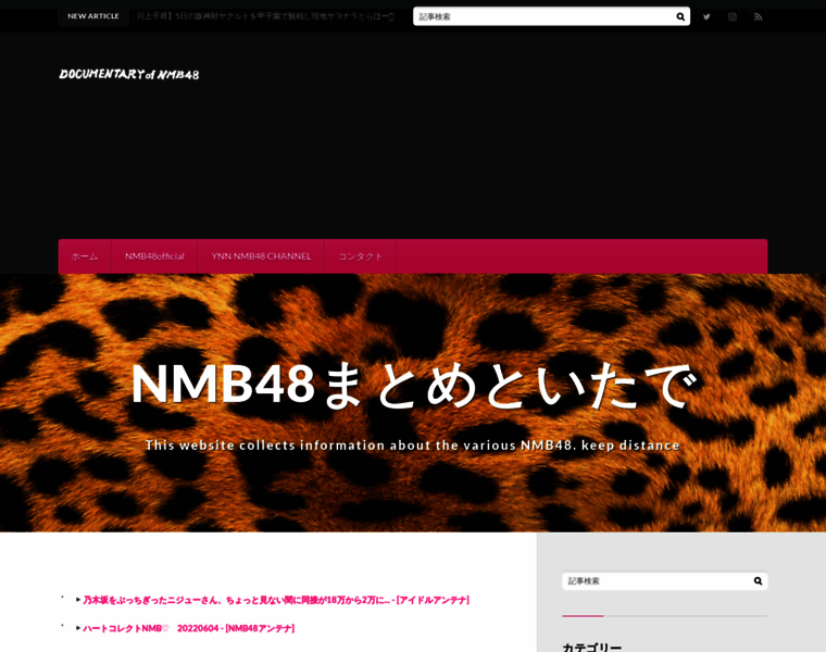 Nmb48matome.net thumbnail