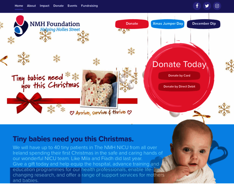 Nmhfoundation.ie thumbnail