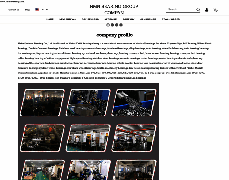 Nmn-bearing.com thumbnail Nmn-bearing.com thumbnail