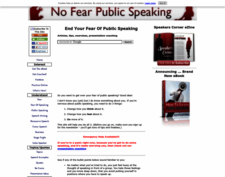 No-fear-public-speaking.com thumbnail