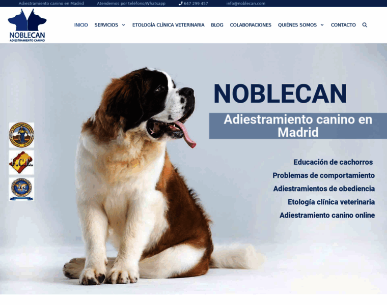 Noblecan.com thumbnail