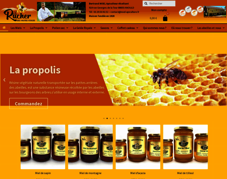 Noel-apiculture.fr thumbnail