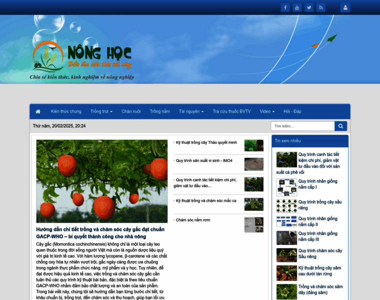 Nonghoc.net thumbnail