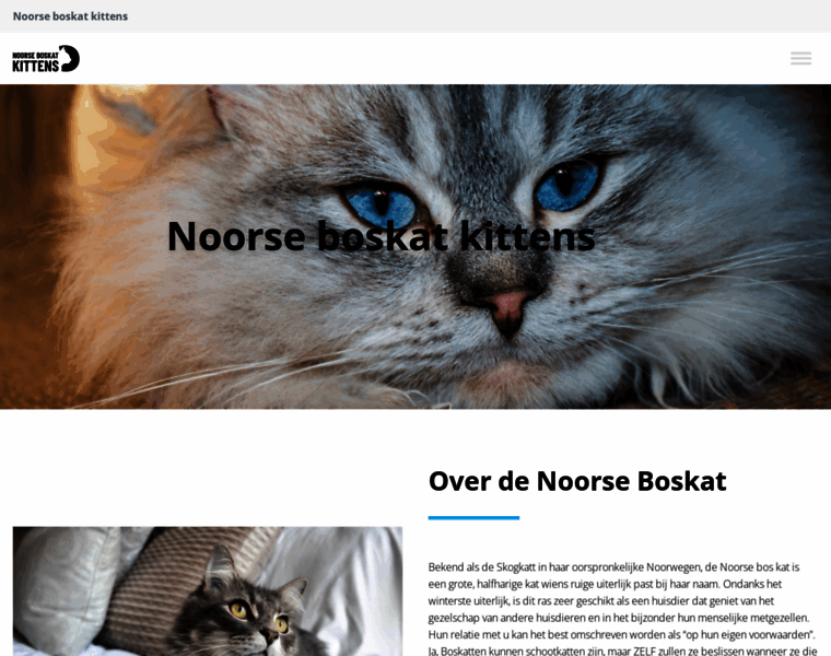 Noorseboskatkittens.nl thumbnail