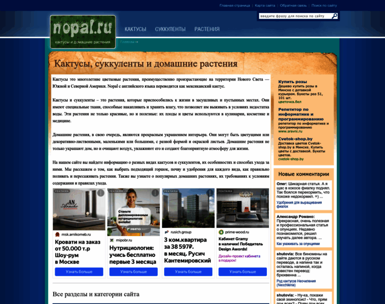 Nopal.ru thumbnail