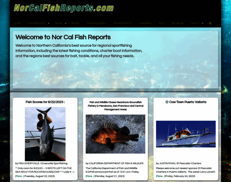 Norcalfishreports.com thumbnail