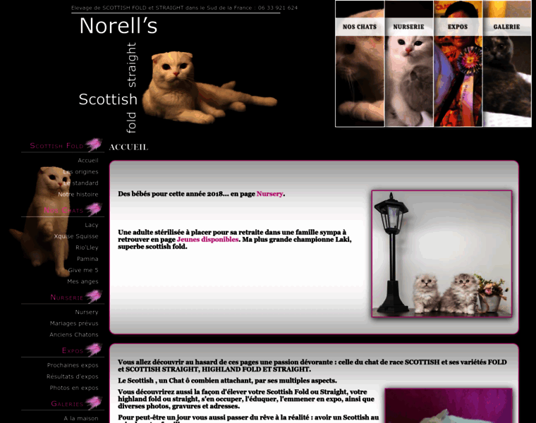 Norell.fr thumbnail