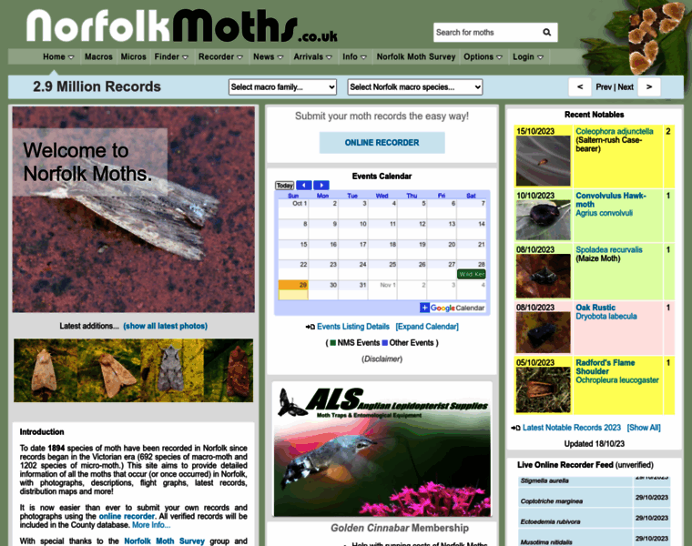 Norfolkmoths.co.uk thumbnail