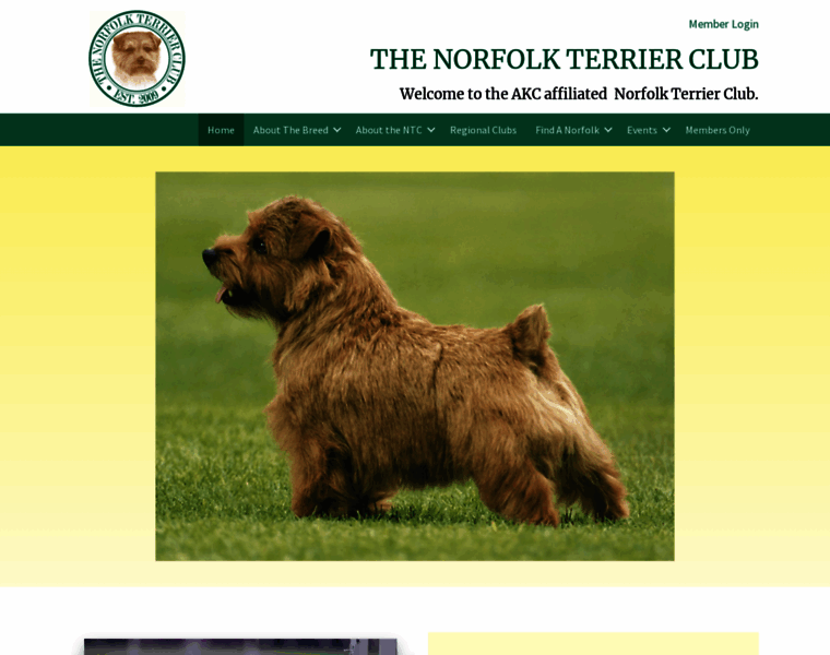 Norfolkterrierclub.org thumbnail