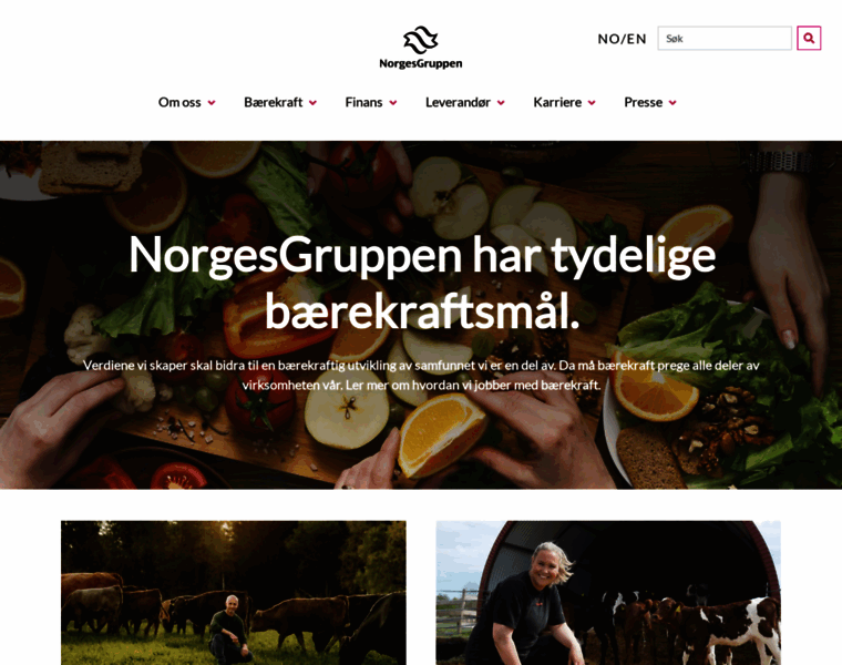 Norgesgruppen.no thumbnail