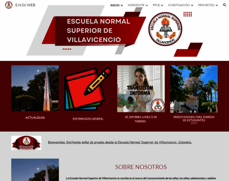 Normalvillavicencio.edu.co thumbnail