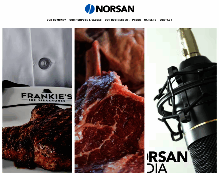 Norsan.net thumbnail