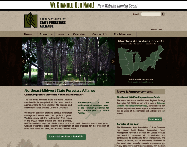 Northeasternforests.org thumbnail