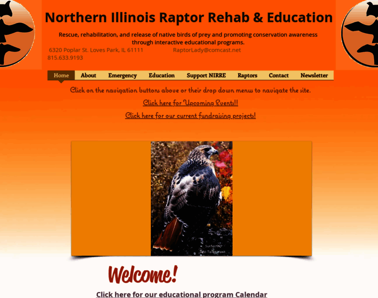 Northernillinoisraptor.org thumbnail